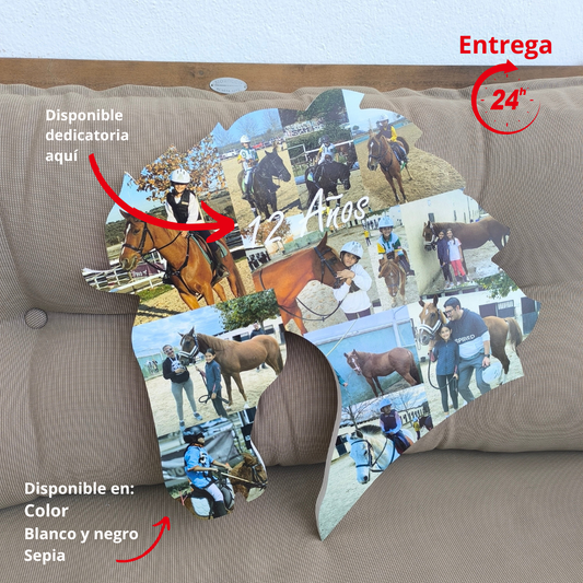 Figura caballo con fotografías