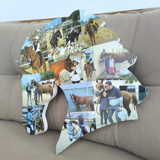 Figura caballo con fotografías